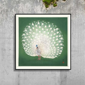 The Dybdahl Co -plakat Påfugl på grønn utstilling