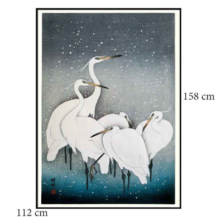 The Dybdahl Co -plakat Snowy Herons Sort ramme 112x158