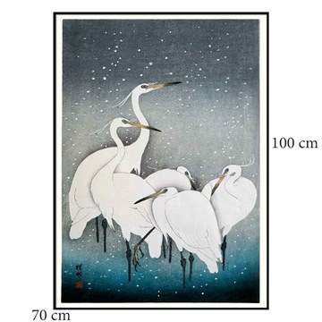 The Dybdahl Co -plakat Snowy Herons Sort ramme 70x100