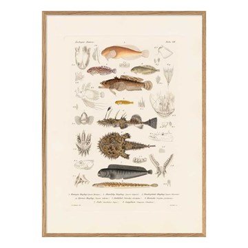 The Dybdahl Co Poster Fishing VII egrammet