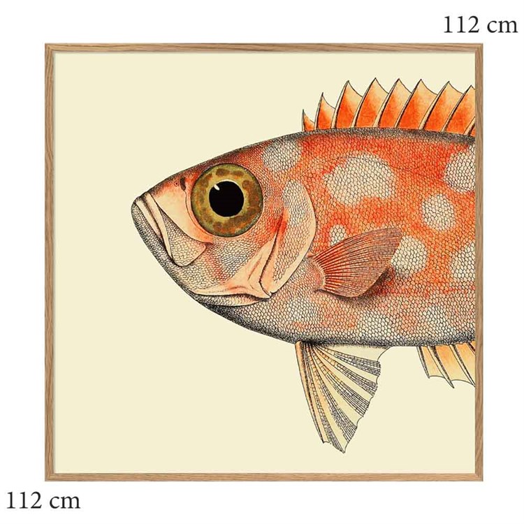 The Dybdahl Co -plakat Dotted Fish Head egram 112x112