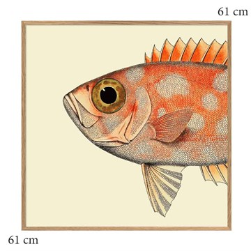 The Dybdahl Co -plakat Dotted Fish Head eframe 61x61