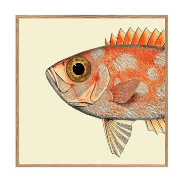The Dybdahl Co -plakat Dotted Fish Head eframe