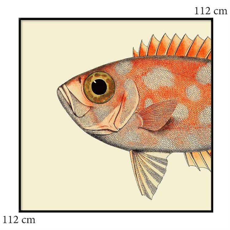 The Dybdahl Co plakat Dotted Fish Head svart ramme 112x112