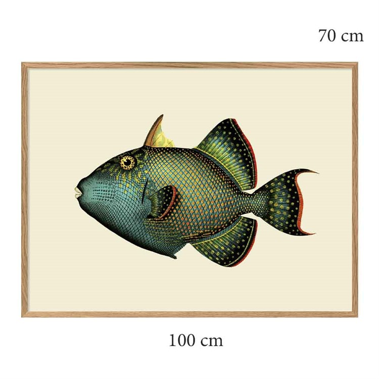 The Dybdahl Co Poster Trigger Fish egram 100x70
