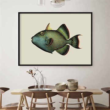 The Dybdahl Co Poster Trigger Fish spisestue