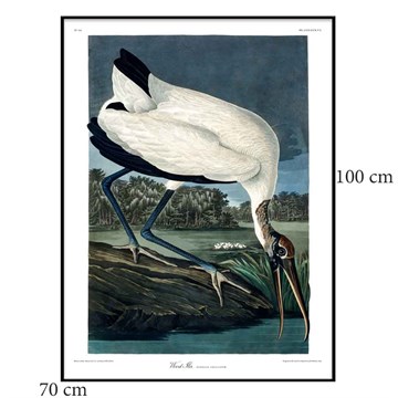 The Dybdahl Co Poster Wood Ibis svart ramme 70x100